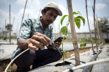 Penerapan Teknologi IoT untuk Pertanian di Semarang