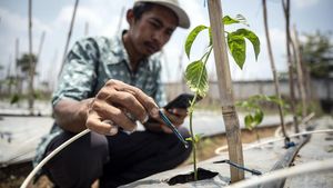 Penerapan Teknologi IoT untuk Pertanian di Semarang