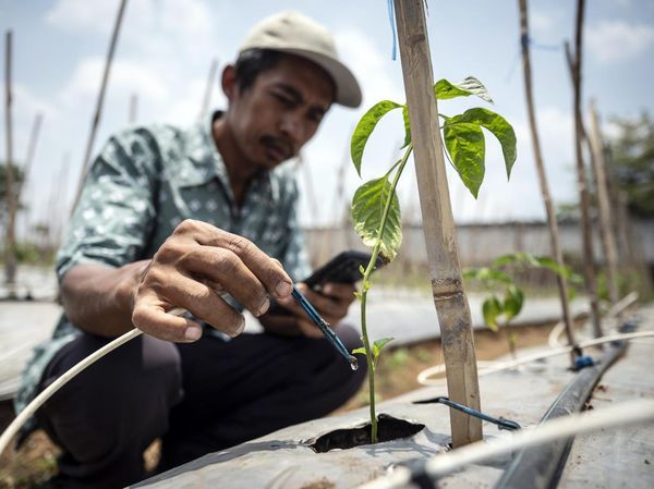 Penerapan Teknologi IoT untuk Pertanian di Semarang