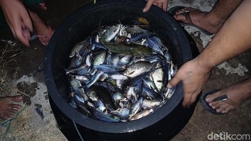 Wanti-wanti Pakar Unair Bahaya Konsumsi Ikan Mabuk