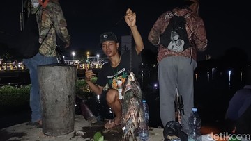 Pakar ITS Ungkap Sinyal Bahaya di Balik Fenomena Ikan Mabuk Surabaya