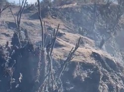 Pendakian Gunung Mambulilling Mamasa Ditutup Imbas Karhutla