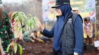 Hijaukan Lahan Eks Karhutla, Bupati Afni: Jangan Sampai Jadi Kebun Sawit
