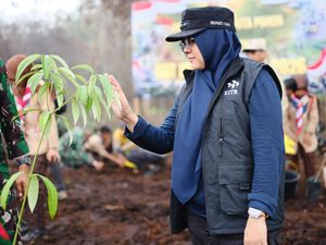 Hijaukan Lahan Eks Karhutla, Bupati Afni: Jangan Sampai Jadi Kebun Sawit