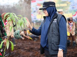 Hijaukan Lahan Eks Karhutla, Bupati Afni: Jangan Sampai Jadi Kebun Sawit