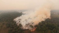 21.369 Hotspot Tercatat di Kobar, Karhutla Diprediksi Masih Lanjut November