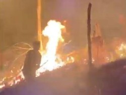 Video Karhutla Seluas 5 Ha di Polman, Diduga Gara-gara Pembukaan Lahan