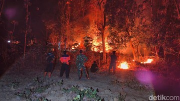 Karhutla Ponorogo Tembus 341 Hektare, 17 Kecamatan Terdampak