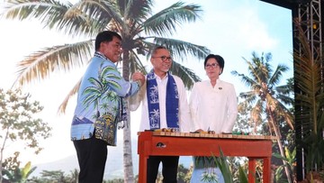 Pemerintah Siapkan 51.721 Hektare untuk Pengembangan Kelapa pada 2027