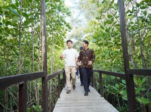Delegasi Korsel Apresiasi Perlindungan Hutan Mangrove-Pesisir di Trenggalek