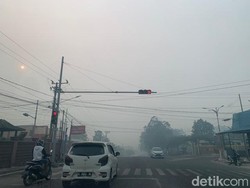 Dana Karhutla Kobar Rp 19 M Tak Bisa Langsung Cair, Tunggu Reviu Inspektorat