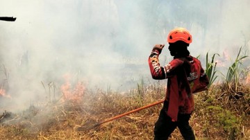 Kebakaran Gunung Kawinajang Padam, Luas Area Terbakar Capai 3 Hektare