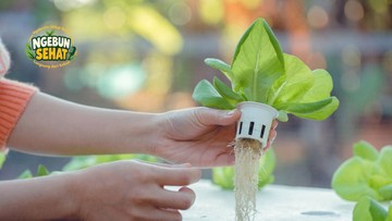 Masih Terlalu Mager untuk Olahraga Berat? Berkebun Saja, Banyak Manfaatnya