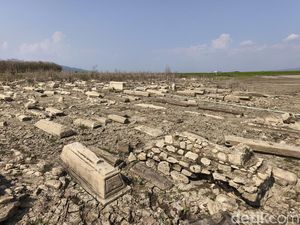 Ratusan Makam Kuno Terhampar Saat Waduk Gajah Mungkur Makin Mengering