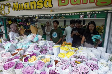 Menjelajah Pasar Bunga Pandu, Sentra Bunga Legendaris Bandung