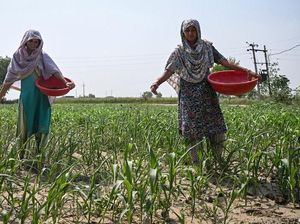 Monsun Terkering dalam 11 Tahun Hantam India
