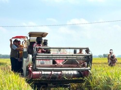 Bulog Sumut Sudah Serap 58.558 Ton Gabah hingga Oktober 2026