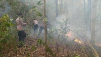 17 Titik Panas Terdeteksi di Way Kambas, 8 Hektare Lahan Berhasil Dipadamkan