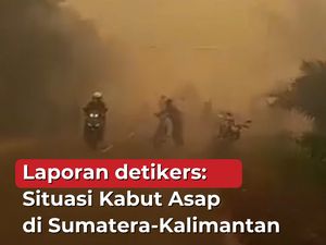Video Laporan dari detikers: Separah Ini Kabut Asap di Sumatera-Kalimantan