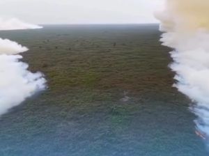 Video Viral Karhutla di TN Tanjung Puting Saling Berhadapan