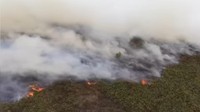 Video Karhutla Merajalela, Anggota DPR Minta Keselamatan Warga Jadi Prioritas