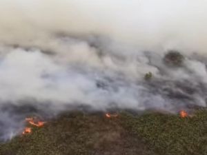 Video Karhutla Merajalela, Anggota DPR Minta Keselamatan Warga Jadi Prioritas