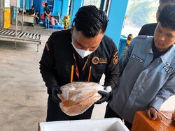 Ekspor Madu Sumsel ke Singapura Tembus 1,5 Ton, Lampaui Capaian 2025