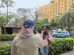 Tabebuya Berbunga Bikin Warga Merasa Cikini Bak Korea