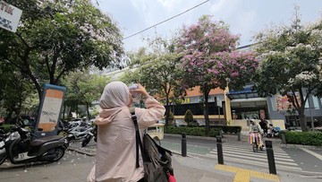 Gembiranya Warga Bisa Foto-foto ala Korea di Cikini Saat Tabebuya Berbunga