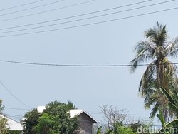 Fenomena Haze Landa Flores Timur NTT, Diduga Berasal dari Kebakaran di Papua