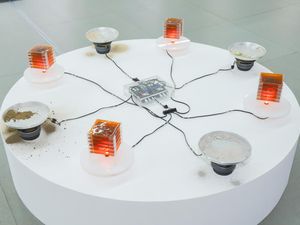 J+Art Awards 2026 Umumkan Pemenang, Ada Karya Seni Mira Rizki-Dwiki Aditya