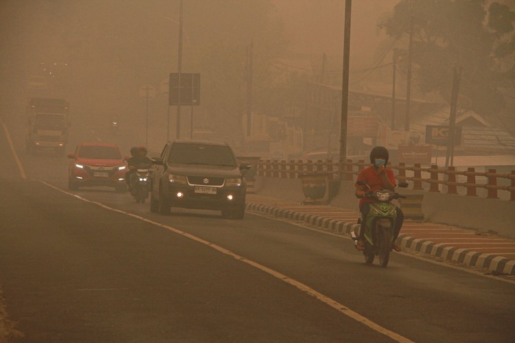 Ada Gas Hidrogen Sianida di Balik Asap Karhutla Gambut, Apa Dampaknya?