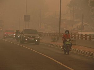Menhut Didesak Keliling Kalteng, Jangan Cuma Terima Laporan Karhutla