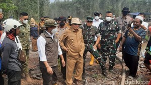 Video Menhut: Akan Ada 5-6 Perusahaan Lagi yang Ditindak Terkait Karhutla