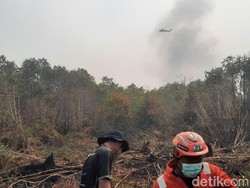 Menhut Pastikan 50 Water Bombing Siaga Penanganan Karhutla