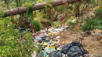 Pemkab Brebes Minta SPPG Tanggung Jawab soal Temuan Sampah di Hutan Pinus