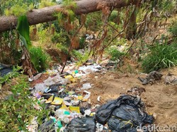 Pemkab Brebes Minta SPPG Tanggung Jawab soal Temuan Sampah di Hutan Pinus