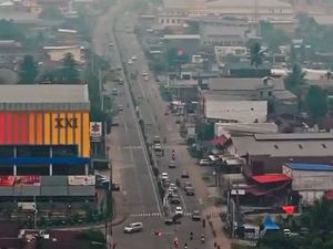 Selain Kalimantan, Netizen Ingatkan Papua Juga Kebakaran Hutan