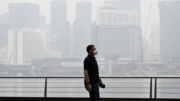 Berita dari Detik Finance: 8 Bos Sawit RI Menghadap Menteri Singapura, Ini Daftarnya
