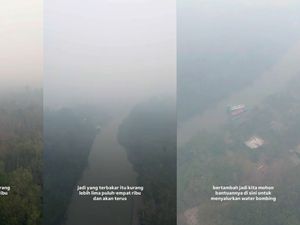 Total 513,89 Hektare Lahan Terbakar di TNTP, Prabowo Perintahkan Atensi Khusus