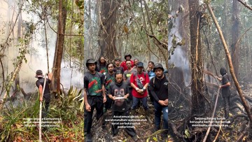 Panggilan Darurat Penyelamatan Hutan Konservasi Lewat Surat Terbuka