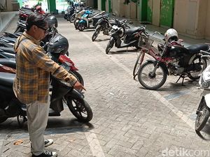 Kucing Mati Dilempar dari Lantai 5 di Probolinggo, Pecinta Hewan Marah