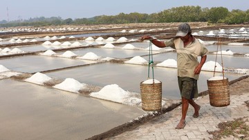 Anjlok Drastis, Harga Garam Rakyat di Takalar Merosot hingga Tersisa Sepertiga
