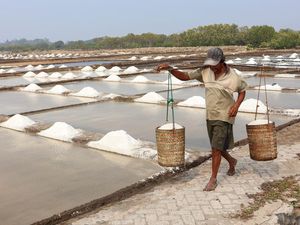Panen Melimpah, Harga Garam Petani Takalar Turun Tajam