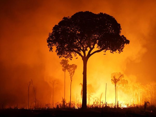 Hutan Amazon Terbakar Saat Musim Kemarau, Diduga Ada Kesengajaan