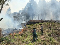Warga Bakar Lahan Picu Karhutla 5 Ha di Mamasa, 1 Rumah Hangus