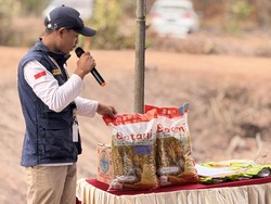 Tim Patriot IPB-Kementrans Uji Padi Hemat Air untuk Petani Salor