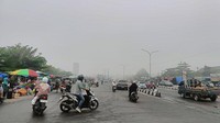 Titik Panas di Sumatera Melonjak Jadi 3.663, Terbanyak Sumsel
