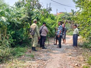 Bocah 6 Tahun di Bekasi Diserang Monyet Liar, Alami Luka di Wajah