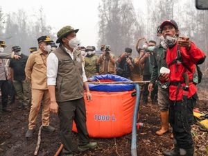Menhut Bicara soal Strategi Putus Kepala Api dalam Karhutla Sebangau